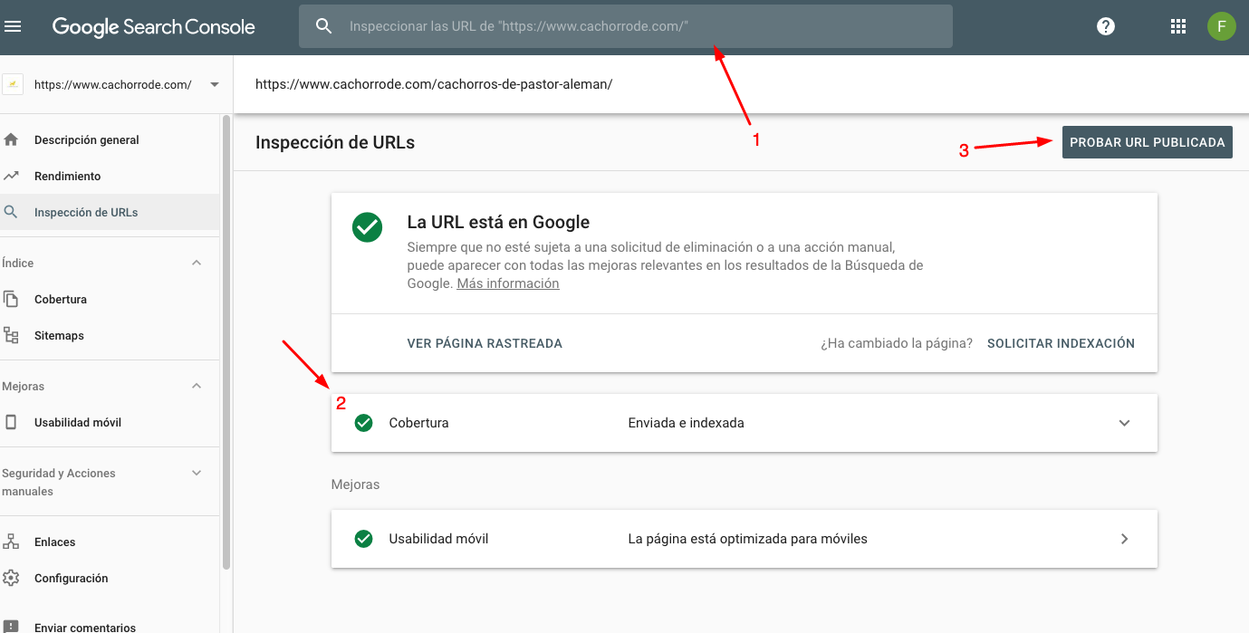 Seo, google y javascript: herramienta search console